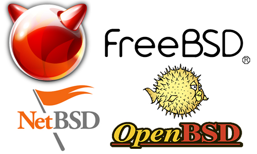 FreeBSD, NetBSD, OpenBSD — выбор и отличия. Сравнение FreeBSD и Linux