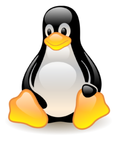 История Linux, основные дистрибутивы Linux